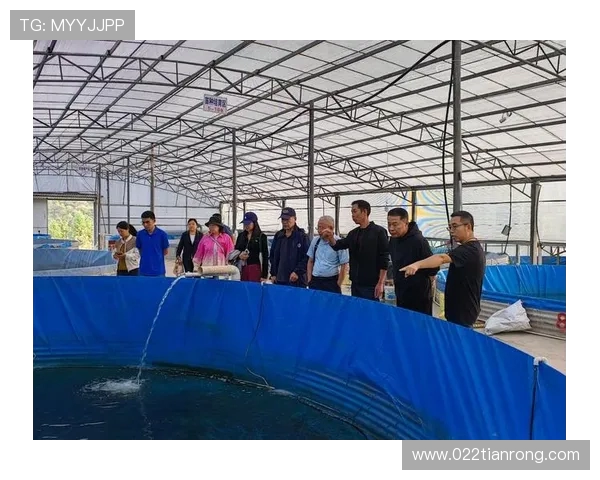 青岛国信水产推动海洋产业高质量发展助力现代渔业全面升级