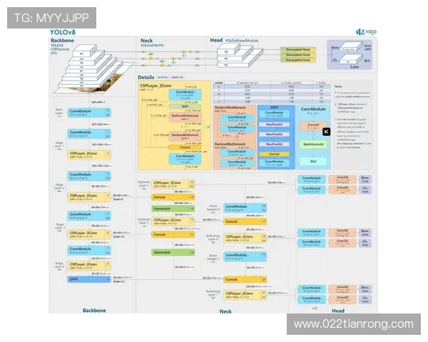 杭州极限运动队战术解析与训练策略探讨